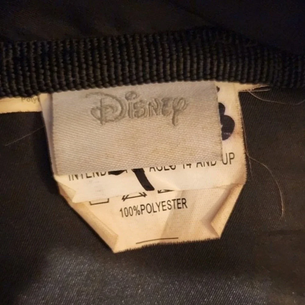Disney dive into